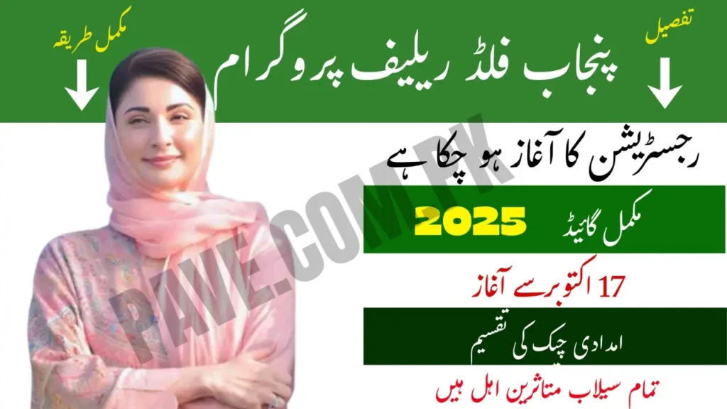 Punjab Flood Relief Program 2025 Complete Guide 1
