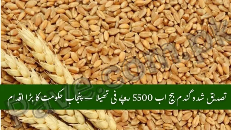 Good News for Farmers: Punjab Government Reduces Certified Wheat Seed Price by Rs1000 per Bag 8 Punjab Govt Cuts Wheat Bag Price to Rs 5,500