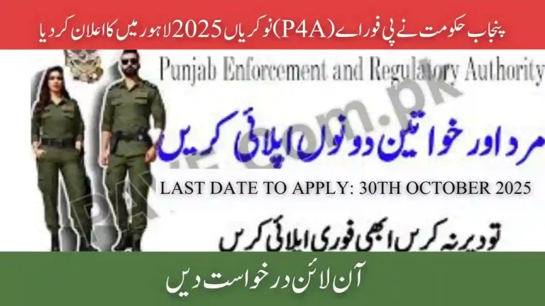 Punjab Govt Announces P4A Jobs 2025 in Lahore — Apply Online for Management & Specialist Posts 7 Punjab Govt Announces P4A Jobs 2025 in Lahore