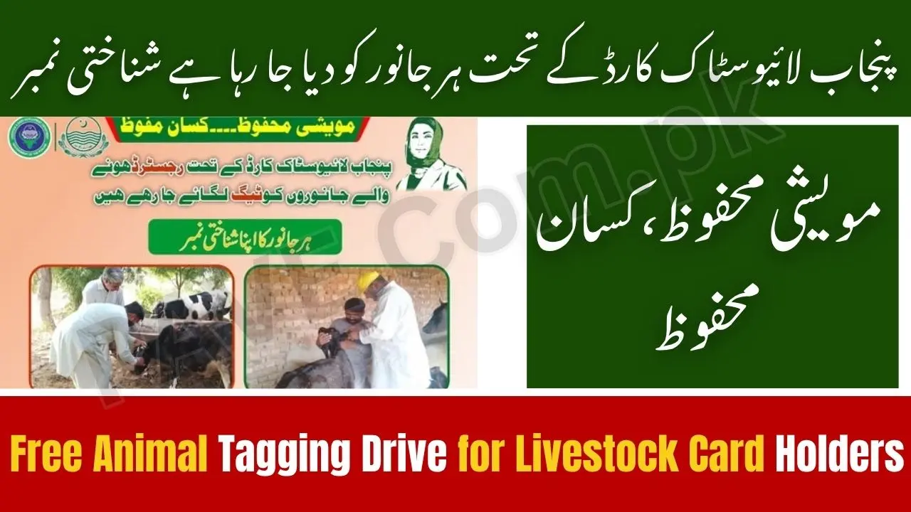 Punjab Govt Launches Free Animal Tagging Drive for Livestock Card Holders
