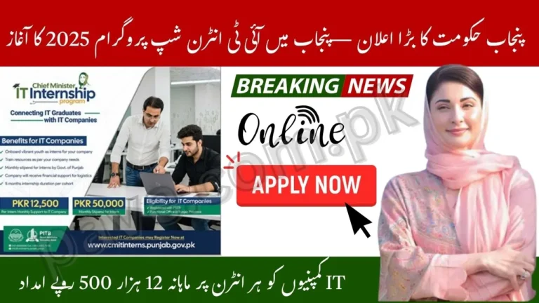Punjab Govt to Provide Rs 12500 Support to IT Companies Per Intern – PITB Internship Program 2025 6 Punjab Govt to Provide Rs 12500 Support to IT Companies Per Intern