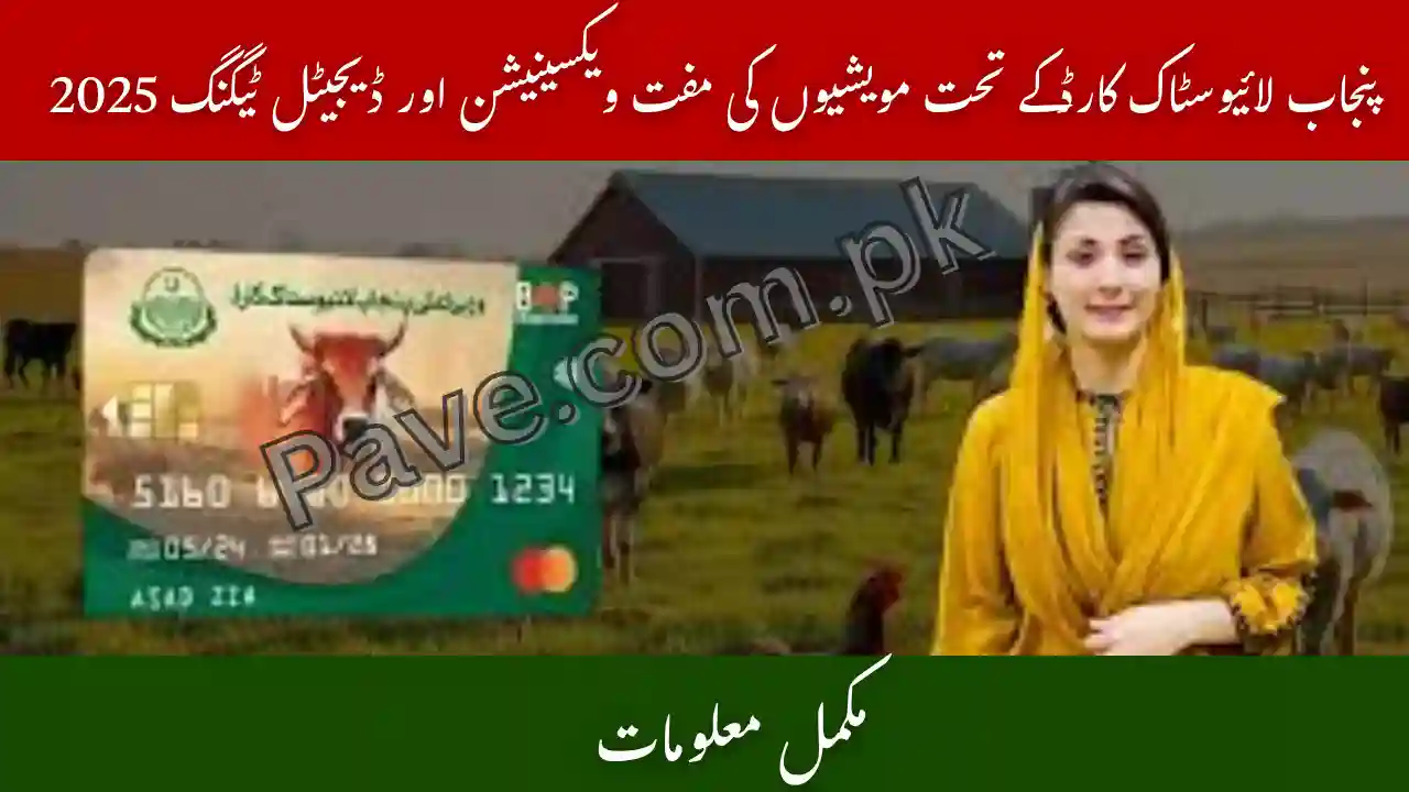 Punjab Livestock Card Animals Vaccination & Tagging Drive 2025