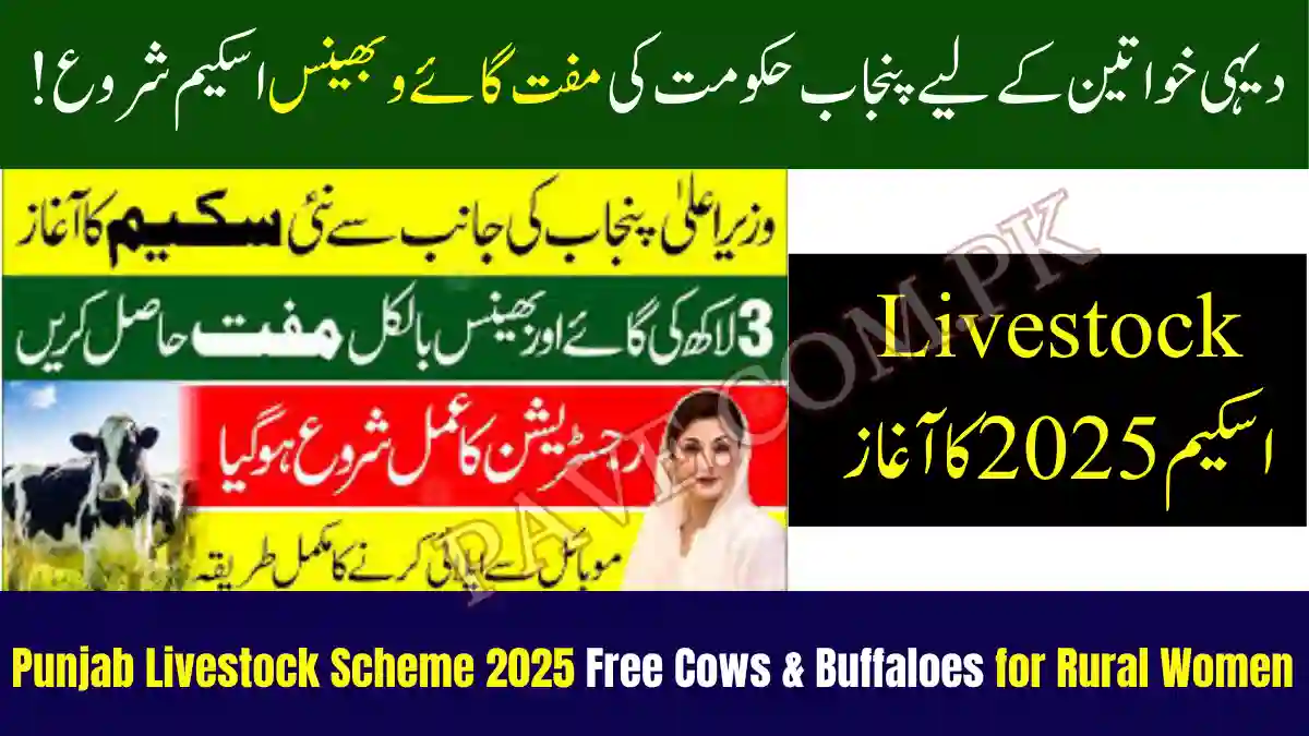Punjab Livestock Scheme 2025 Free Cows & Buffaloes for Rural Women