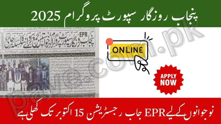 Punjab Rozgar Support Program 2025 – EPR Job Registration Now Open for Youth till 15 October 2 Punjab Rozgar Support Program 2025