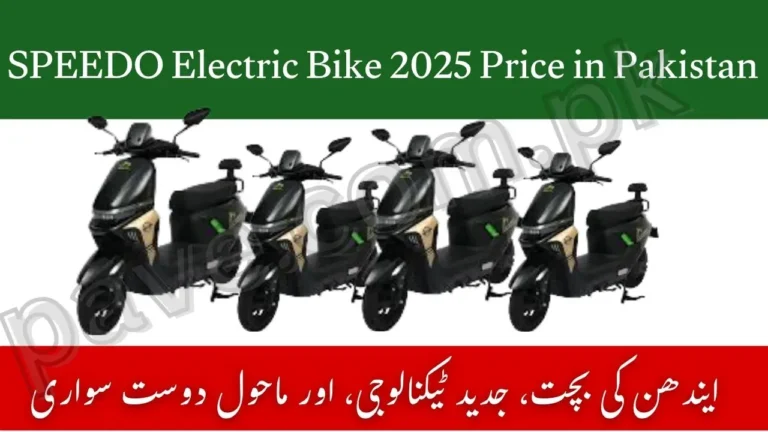 SPEEDO Electric Bike 2025 Price in Pakistan – Full Specs, Features & Honest Review 2 SPEEDO Electric Bike 2025 Price in Pakistan