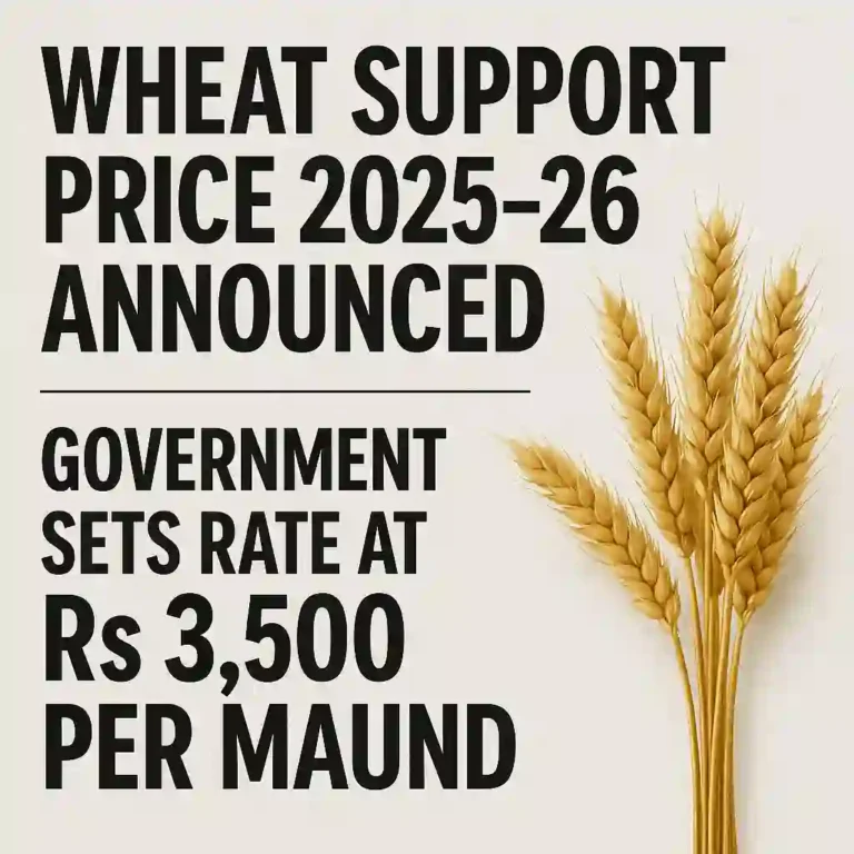 Wheat Support Price 2025–26 Announced