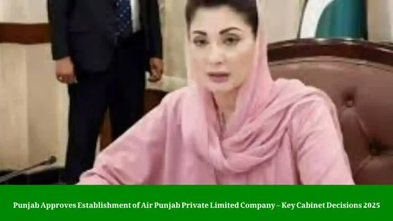 Air Punjab Private Limited Company 2025