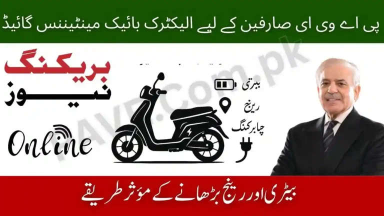 Electric Bike Maintenance