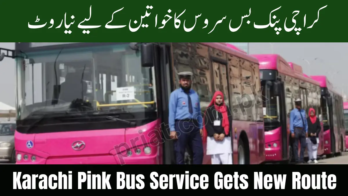 Karachi Pink Bus Service Gets New Route for Women – Sindh Govt Announces Launch Date 1 Karachi Pink Bus Service