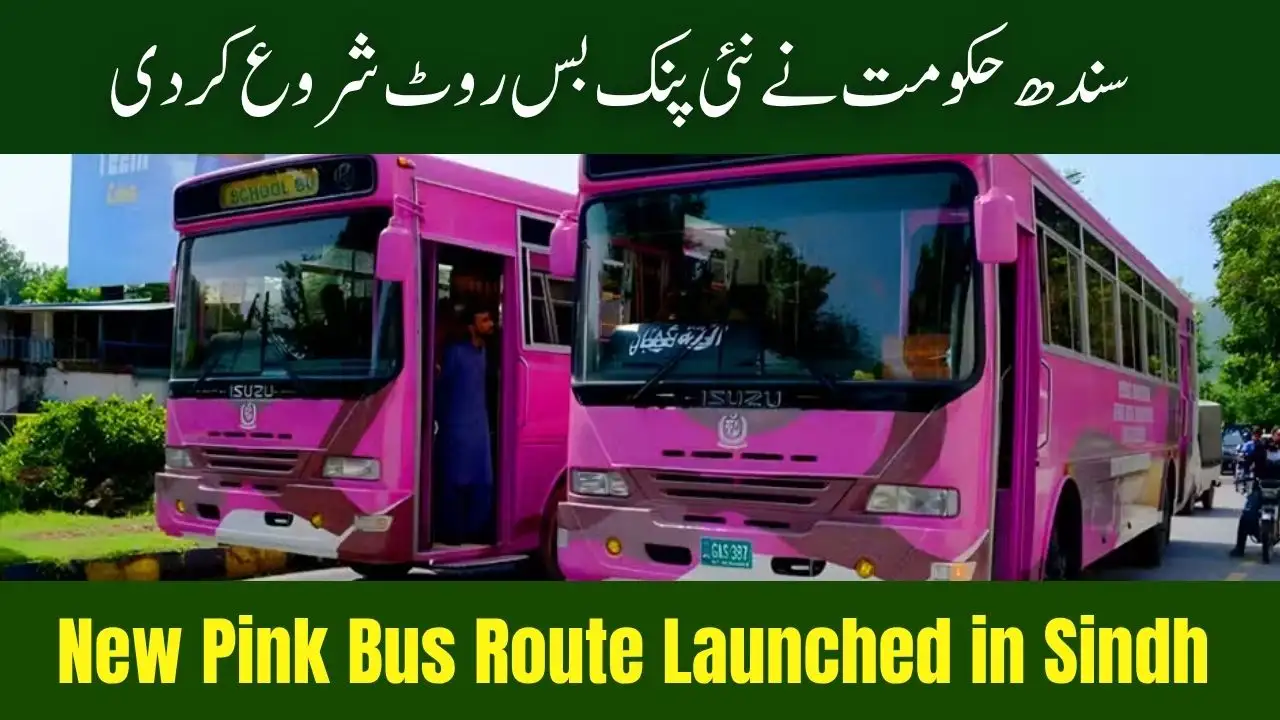 New Pink Bus Route Launched in Sindh – Women-Only Service Expanded 1 New Pink Bus Route Launched in Sindh