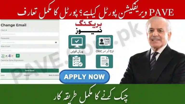 PAVE Verification Portal: Step-by-Step Process to Confirm E-Bike or Rickshaw Eligibility 3 PAVE Verification Portal