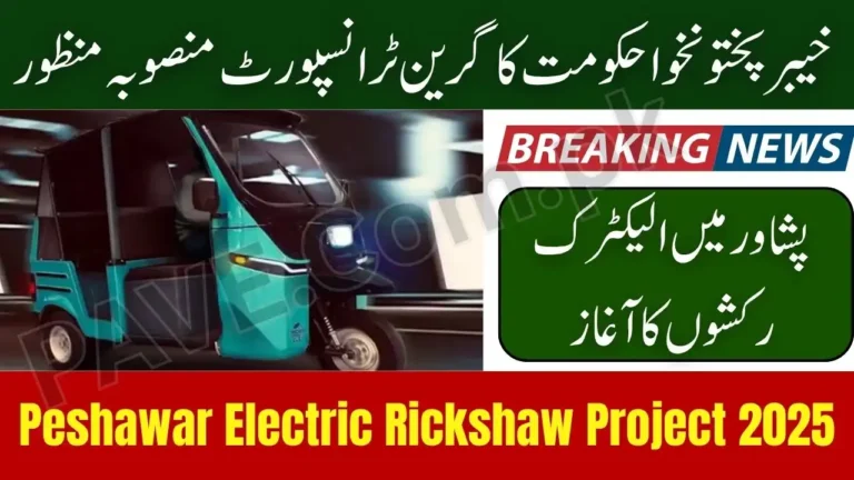 Peshawar to Launch Electric Rickshaw Project 2025