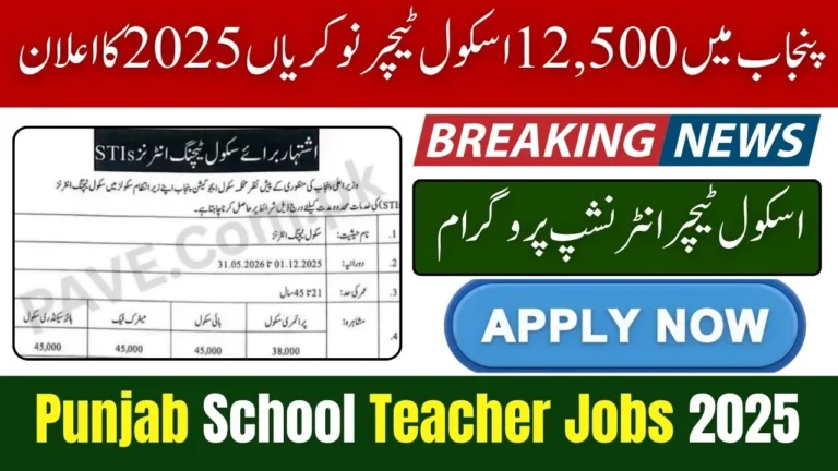 Punjab Announces 12,500 School Teacher Jobs 2025