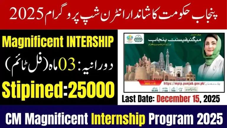 Punjab Govt Announces Magnificent Internship Program 2025 with Monthly Stipend 10 Punjab Govt Announces Magnificent Internship Program 2025Punjab Govt Announces Magnificent Internship Program 2025