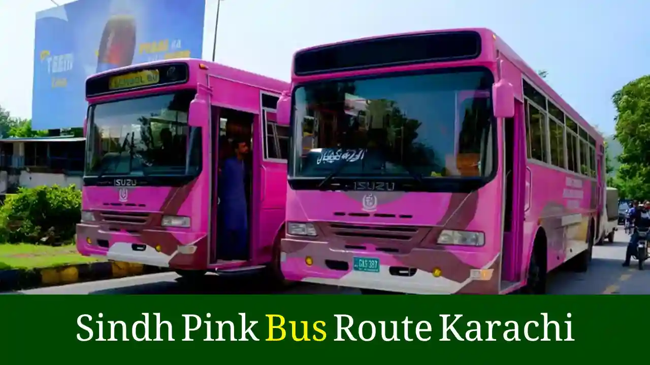 Sindh Pink Bus Route Karachi