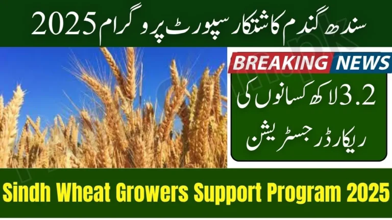 Breaking News: 3.2 Lakh Farmers Register for Sindh Wheat Growers Support Program 2025 4 Sindh Wheat Growers Support Program 2025