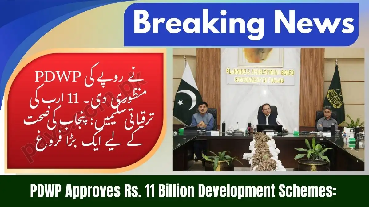 PDWP Approves Rs. 11bn Projects for Punjab (2026) 1 PDWP Approves Rs. 11bn Projects for Punjab (2026)