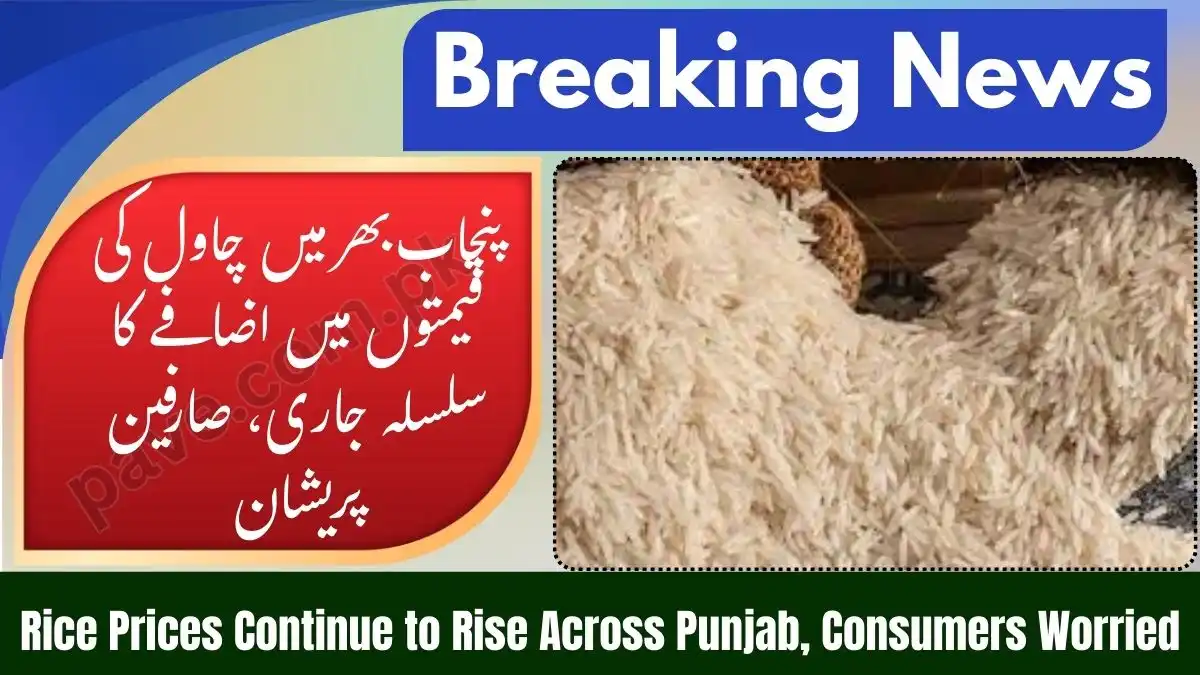 Rice Prices Continue to Rise Across Punjab, Consumers Worried 1 Rice Prices Continue to Rise Across Punjab, Consumers Worried