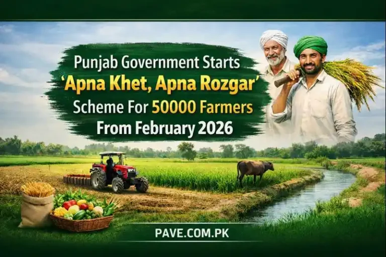Punjab Government Starts “Apna Khet, Apna Rozgar” Scheme For 50000 Farmers From February 2026 6 Punjab Government Starts “Apna Khet, Apna Rozgar” Scheme For 50000 Farmers From February 2026