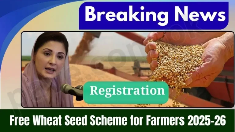 Punjab Govt Launches Free Wheat Seed Scheme for Farmers 2025–26