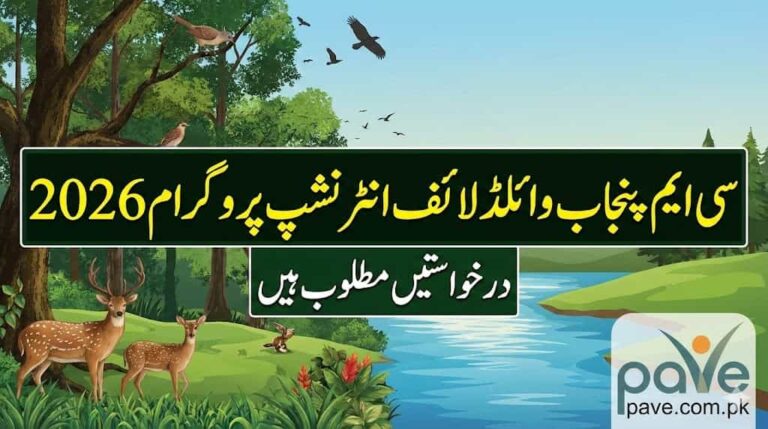 CM Punjab Wildlife Internship Program 2026