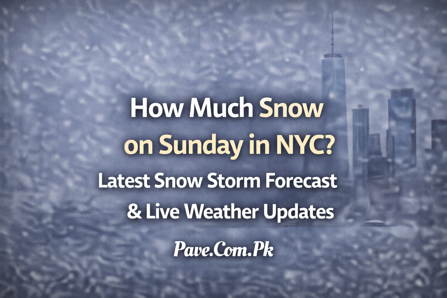 How Much Snow on Sunday in NYC? Latest Snow Storm Forecast & Live Weather Updates 1 How Much Snow on Sunday in NYC Latest Snow Storm Forecast Live Weather Updates