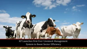 Breaking KP Launches First Ever Livestock Management System to Boost Sector Efficiency 2026