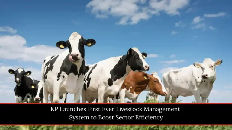 Breaking KP Launches First Ever Livestock Management System to Boost Sector Efficiency 2026