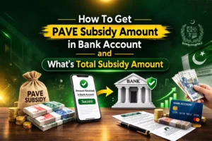 How To Get PAVE Subsidy Amount in Bank Account and What’s Total Subsidy Amount 2 How To Get PAVE Subsidy Amount in Bank Account