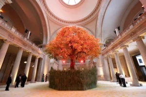 Hyderabad Museum Lawn Used for Private Events, Govt Orders Immediate Halt 4 Hyderabad Museum Lawn Used for Private Events, Govt Orders Immediate Halt